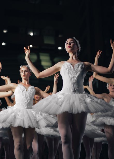 Лебединое озеро